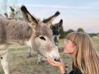 Animaux dans la maison de vacances ou à proximité