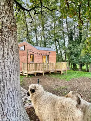Plan de l'établissement Jolie Tiny House sous les Grands Arbres