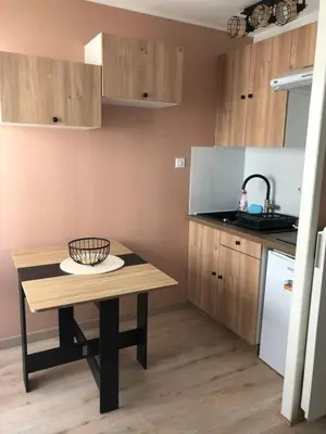 Cuisine ou kitchenette dans l'établissement Studio vue mer