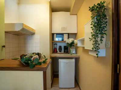Cuisine ou kitchenette dans l'établissement Studio Studio des Halles by Interhome