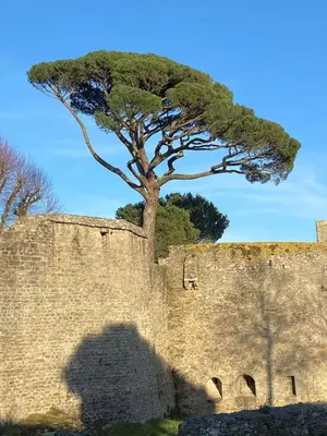 Lieu d'intérêt à proximité de la maison de vacances