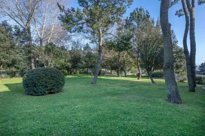 Jardin de l'établissement Appartement vue mer et les pieds dans l'eau!