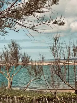 Paysage naturel près de l'appartement