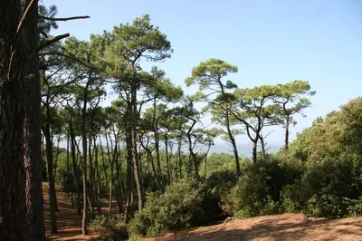 Paysage naturel près de l'appartement