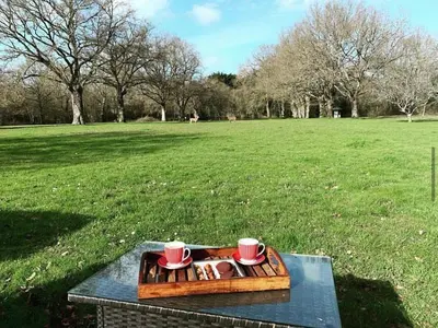 Jardin de l'établissement Hors Cadre/villa avec piscine