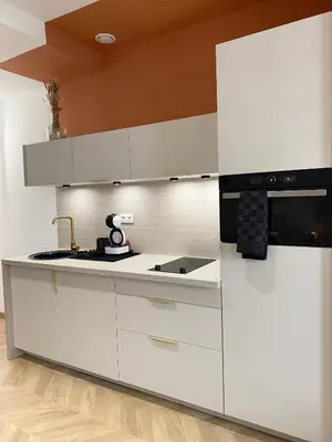 Cuisine ou kitchenette dans l'établissement Studio Queen