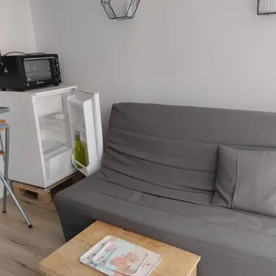 Coin salon dans l'établissement Studio attenant a la maison principale