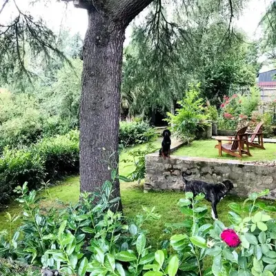 Maison l'or du temps