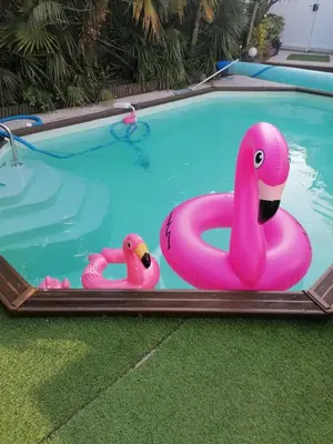 Piscine de l'établissement maison calme avec piscine palmiers 300m de la plage pornichet centre ou située à proximité