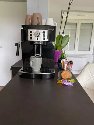 Cuisine ou kitchenette dans l'établissement Maison de 2 chambres proche A11 Ancenis, Logis du Château Rouge