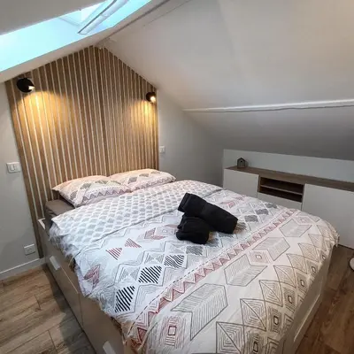 Un ou plusieurs lits dans un hébergement de l'établissement Loft des bords de Loire, idéal voyage d'affaires & Week end