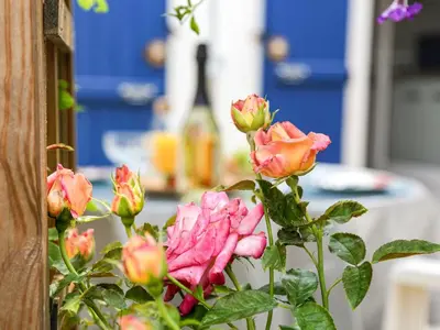 Jardin de l'établissement Holiday Home Jardin Secret by Interhome