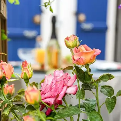Holiday Home Jardin Secret by Interhome