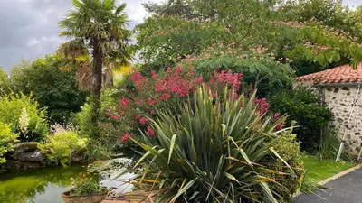 Jardin de l'établissement Au bon endroit 