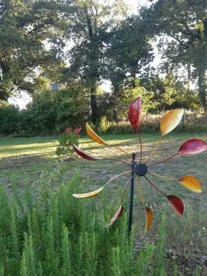 Jardin de l'établissement Chambre d'hôte cosy & zen