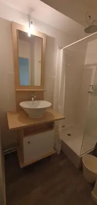 Salle de bains dans l'établissement Idéal couple Appartement 1 chambre Cosy et calme pour visiter Nantes