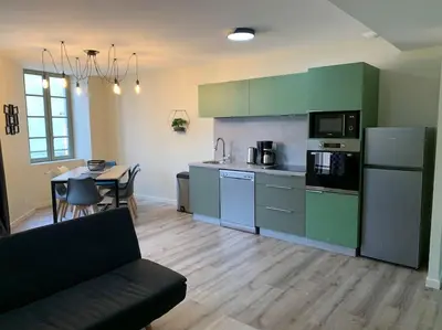 Cuisine ou kitchenette dans l'établissement Appartement Torii - Maulévrier Cholet Puy du Fou