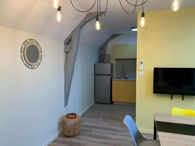 Cuisine ou kitchenette dans l'établissement Appartement Ikebana - Maulévrier Cholet Puy du Fou