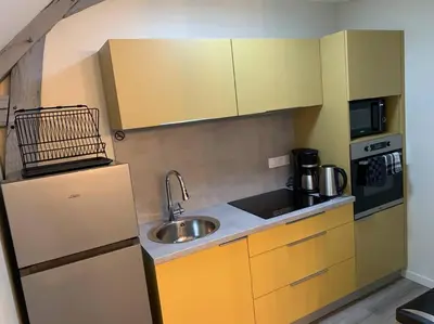 Cuisine ou kitchenette dans l'établissement Appartement Ikebana - Maulévrier Cholet Puy du Fou