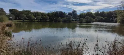 Paysage naturel près de le camping