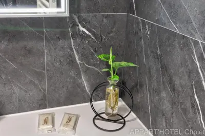 Salle de bains dans l'établissement Appart hotel Cholet Carteron
