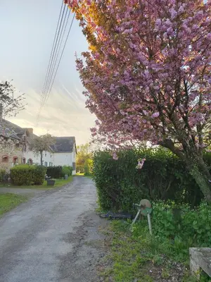 Jardin de l'établissement Gites La butte de l'espérance