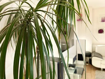 Coin salon dans l'établissement Le panoramique