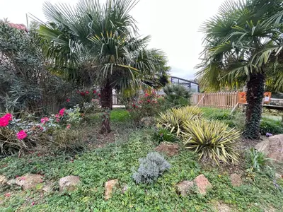 Jardin de l'établissement MH-MAUFAY -- Mobil'home au Coeur de la Vendée