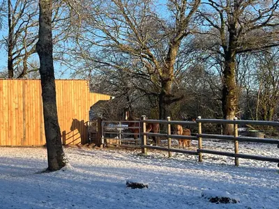 L'établissement Gîte de la Haie des Bois - 8P en hiver