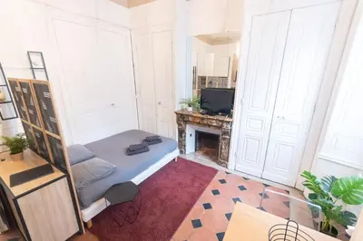 Télévision ou salle de divertissement dans l'établissement Immeuble L'aristocrate - L'Authentique - Bd Carnot