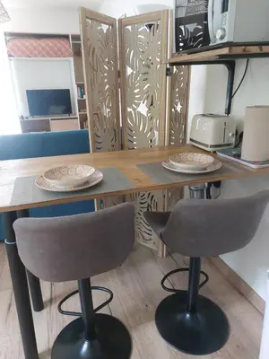 Cuisine ou kitchenette dans l'établissement Charmant studio tout équipé