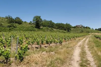 Paysage naturel près de la maison de vacances