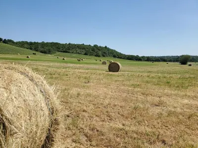 Paysage naturel près de la maison de vacances