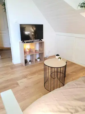 Télévision ou salle de divertissement dans l'établissement Studio Coquet - Comme à la maison - Loïc Nantes