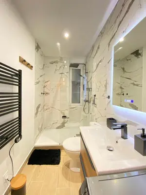 Salle de bains dans l'établissement Charmant T1 hypercentre Nantes