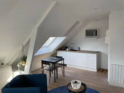 Cuisine ou kitchenette dans l'établissement Studio 302 - Hyper Centre - Intégralement rénové - Toutes commodités à pied