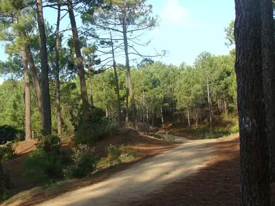 Paysage naturel près de la maison de vacances
