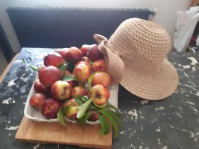 Nourriture dans le lodge ou à proximité