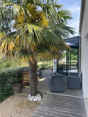 Jardin de l'établissement 1 chambre d'hôte moderne au calme à 15mn du Puy du Fou