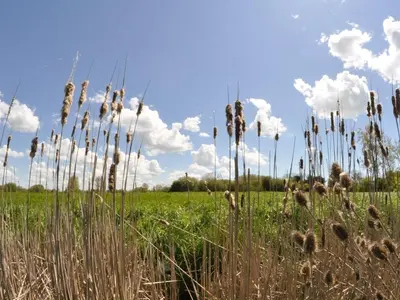Paysage naturel près de l'appartement