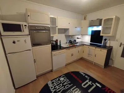 Cuisine ou kitchenette dans l'établissement Appartement Courbaril à Nantes (6)