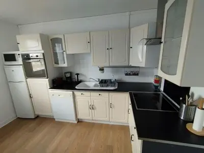 Cuisine ou kitchenette dans l'établissement Appartement Courbaril à Nantes (6)