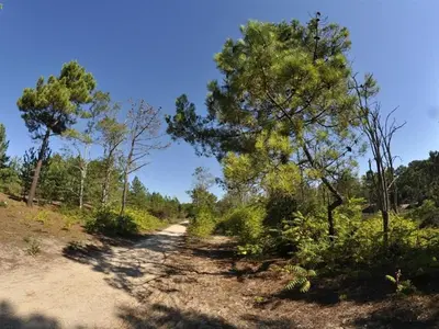Paysage naturel près de l'appartement