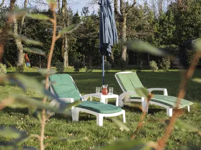 Jardin de l'établissement Holiday Home La Tingère by Interhome