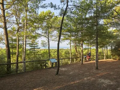 Paysage naturel près de l'appartement