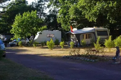 Jardin de l'établissement ZEcamping 3 chiens acceptés club enfant piscine chauffée