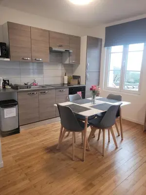 Cuisine ou kitchenette dans l'établissement Appartement 2 chambres vue loire