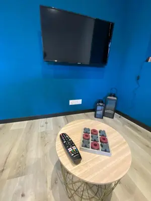 Télévision ou salle de divertissement dans l'établissement Maisonnette 2/4 personnes en bord de sevre