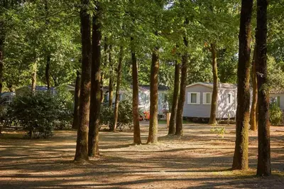 Jardin de l'établissement Mobil-home 5 places