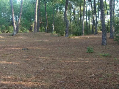 Paysage naturel près de l'appartement